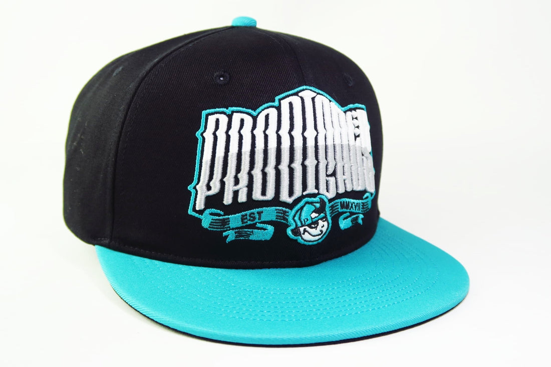 EMBLEM SNAPBACK